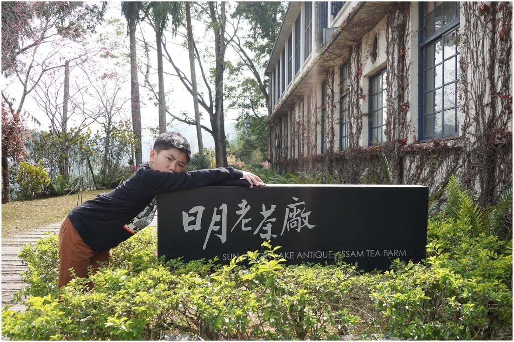 老茶廠-1.JPG
