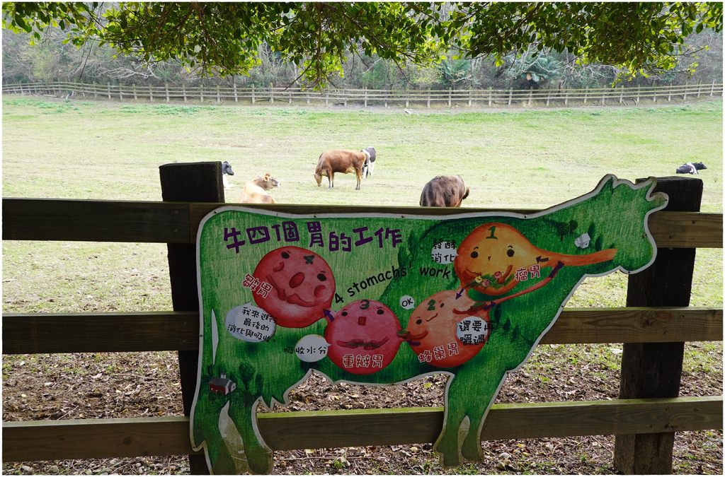 牧場-10.JPG 牧場-10.JPG