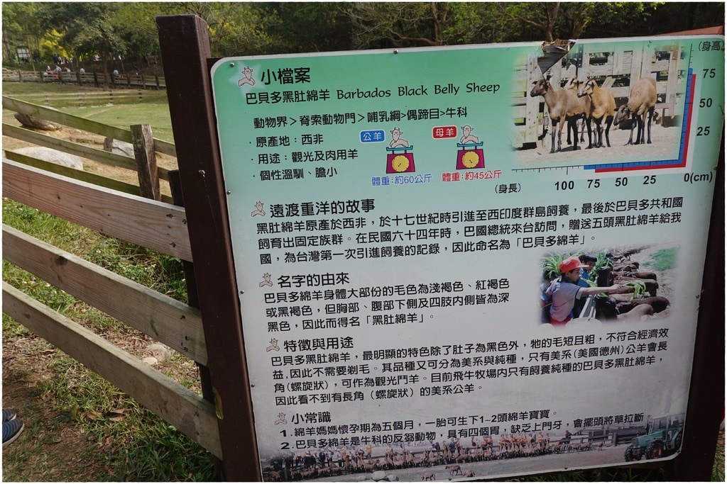 牧場-11.JPG 牧場-11.JPG