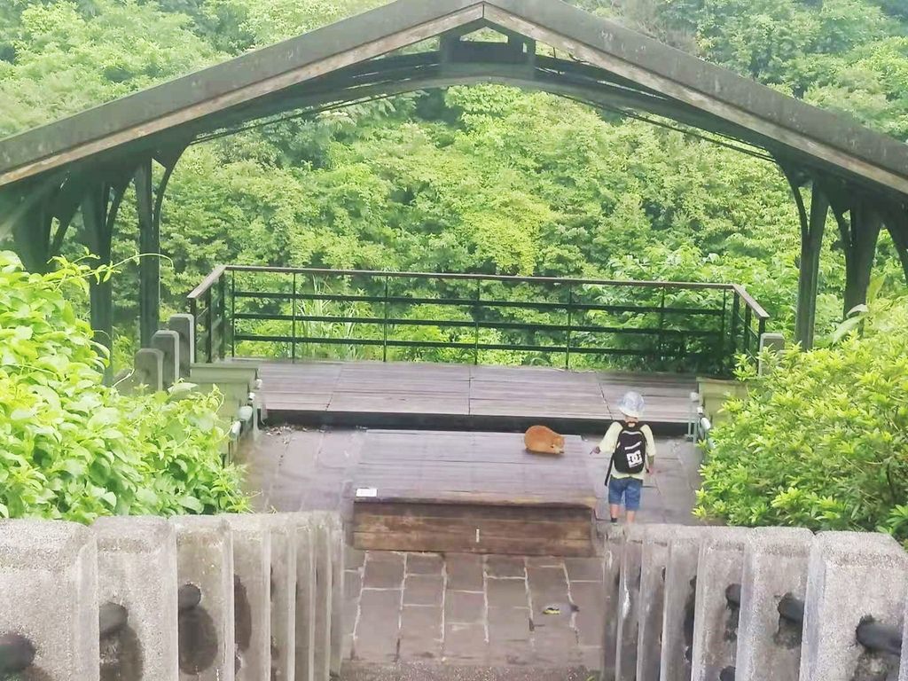 猴硐-9.jpg
