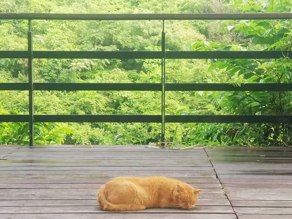 猴硐-6.jpg