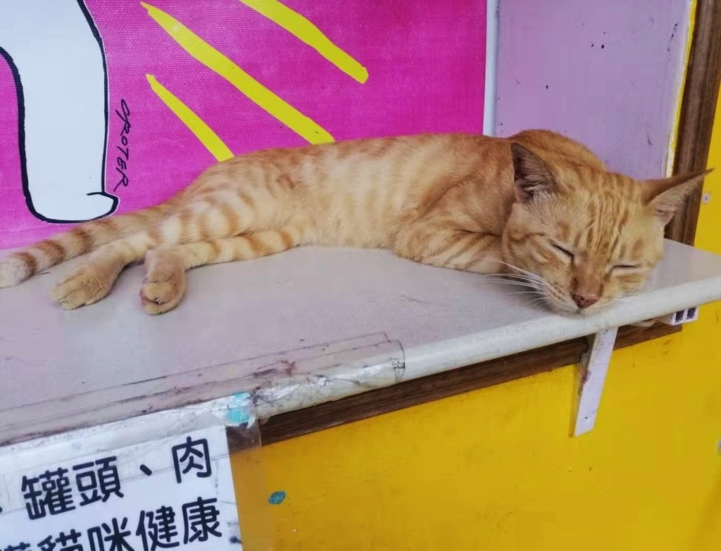 猴硐-31.jpg