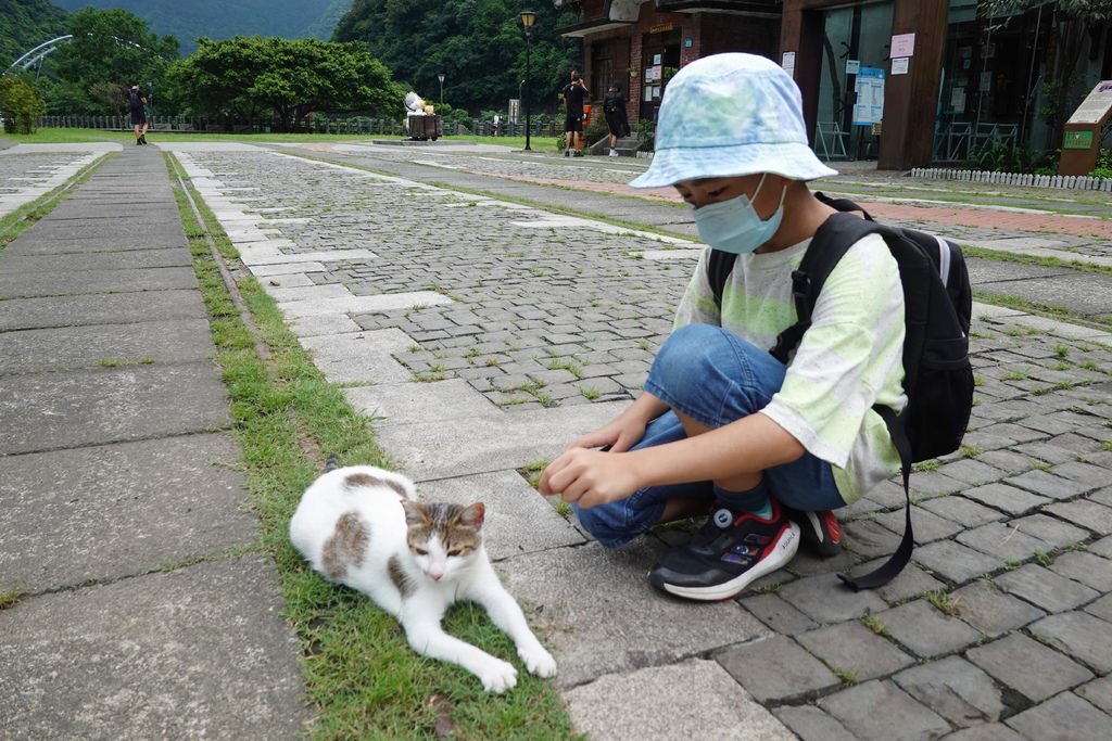 猴硐-43.JPG