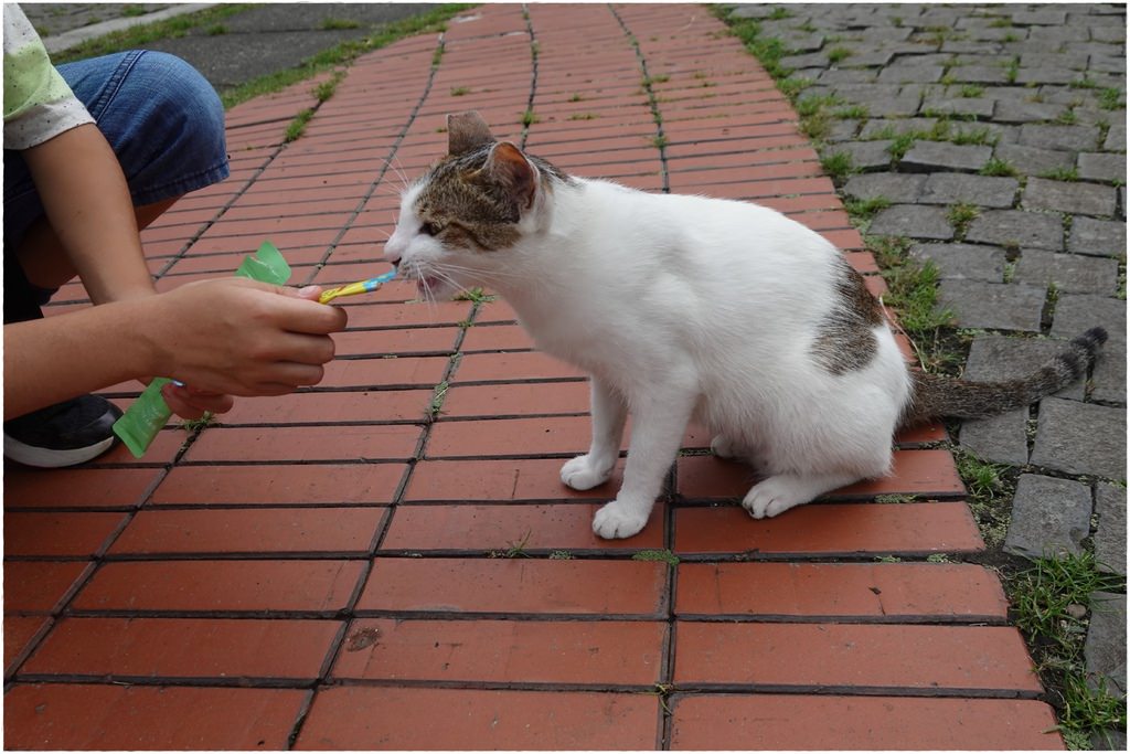 猴硐-50.JPG
