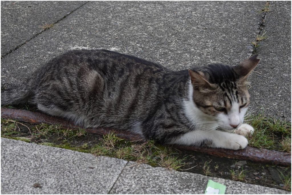 猴硐-66.JPG