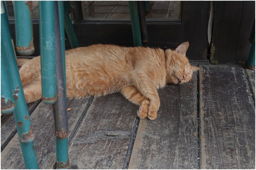 猴硐-60.JPG