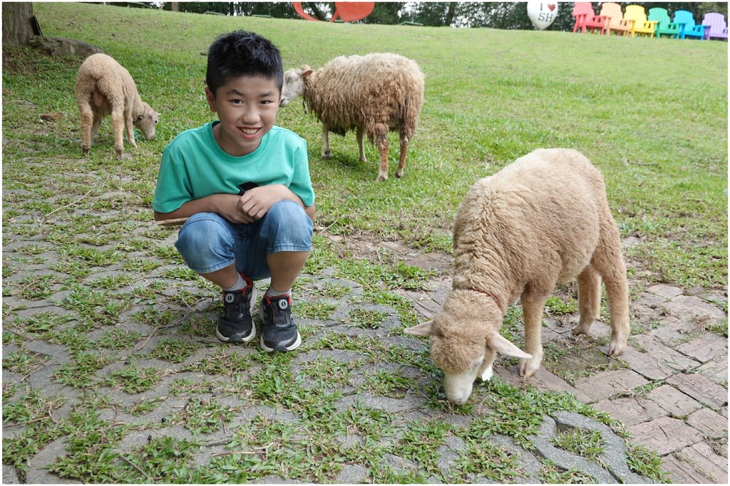 綠光-53.JPG