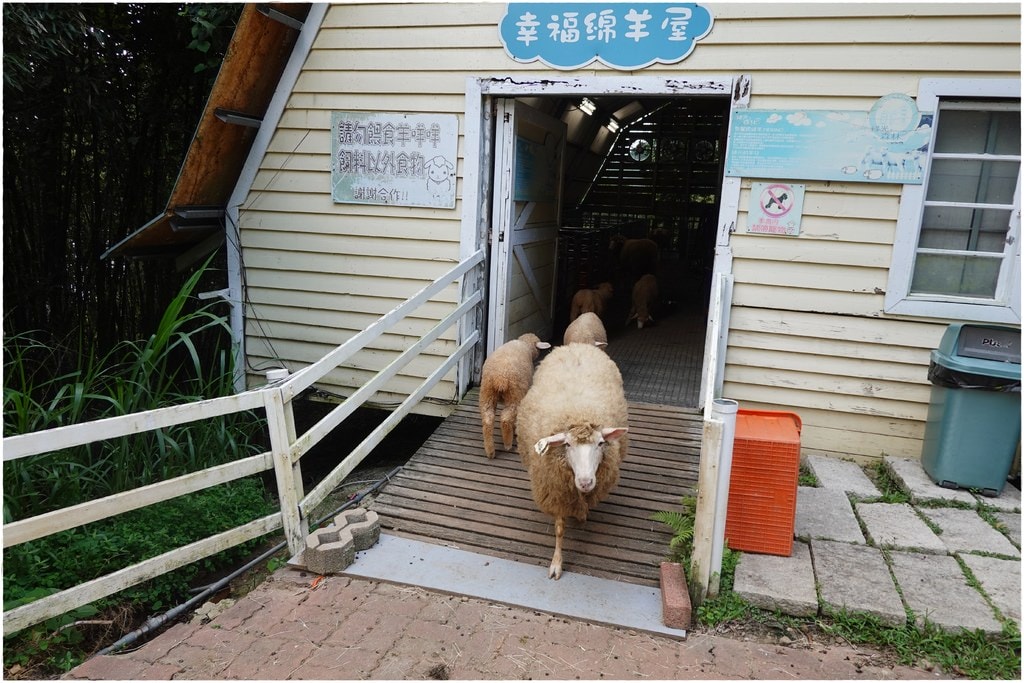 綠光-83.JPG