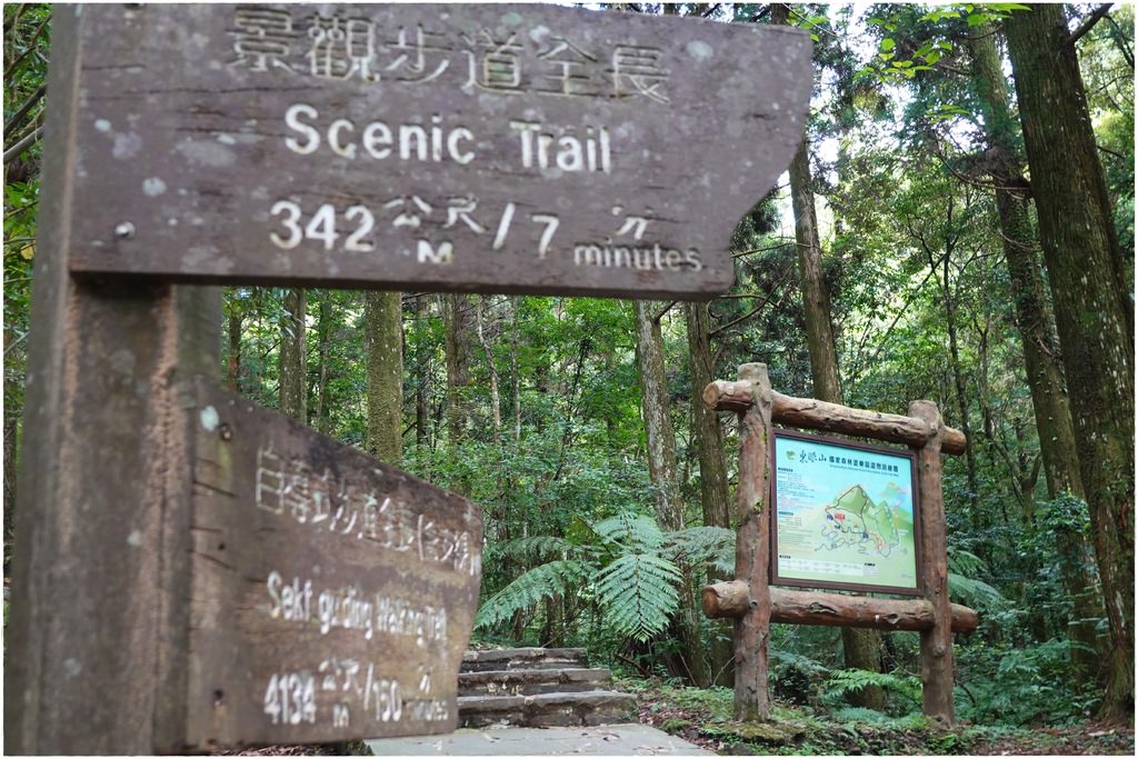 東眼山-8.JPG