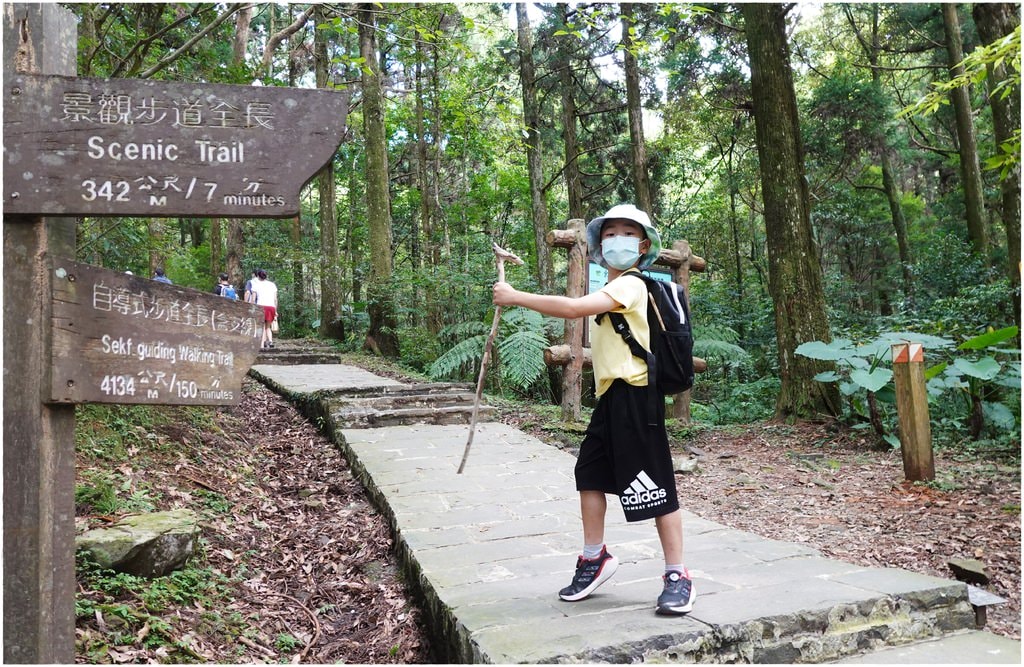東眼山-9.JPG