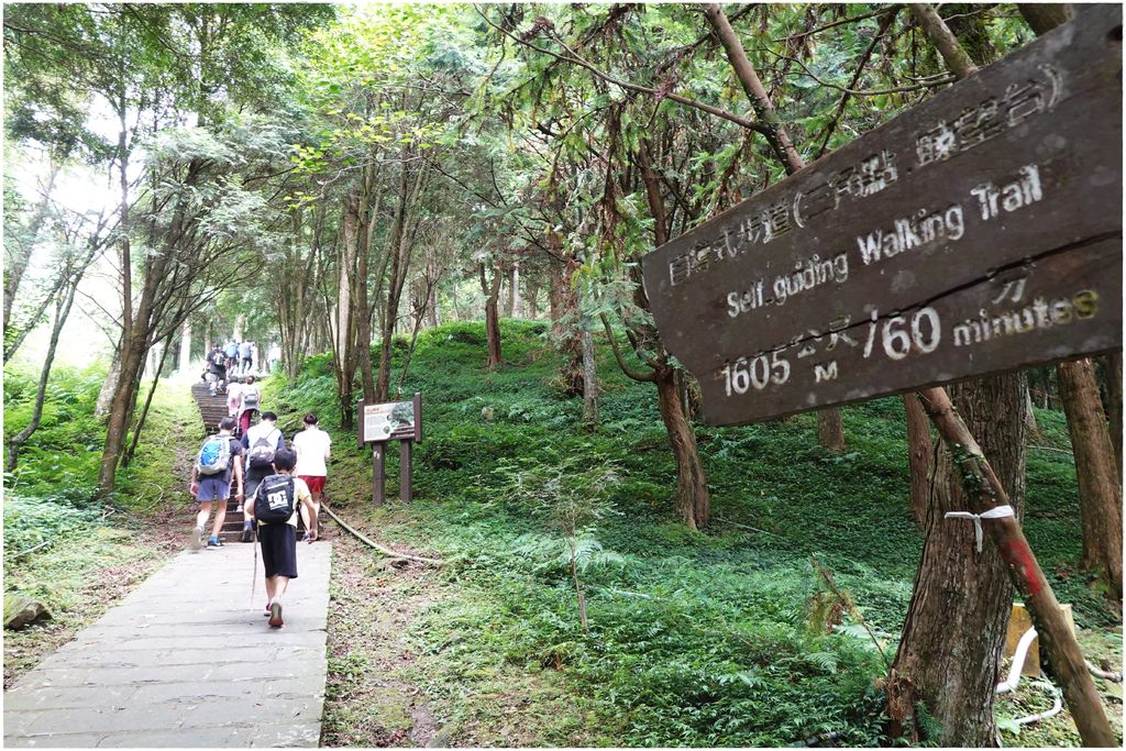 東眼山-10.JPG