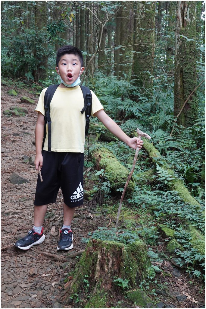 東眼山-21.JPG