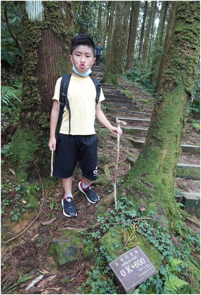 東眼山-23.JPG