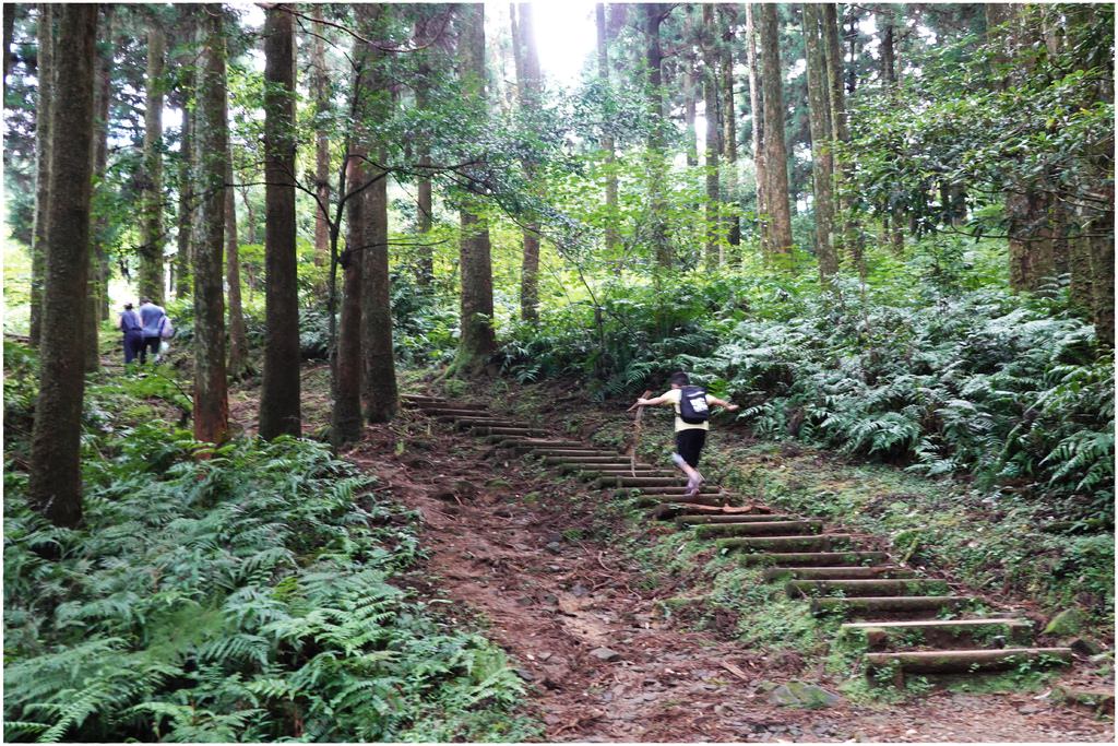 東眼山-26.JPG