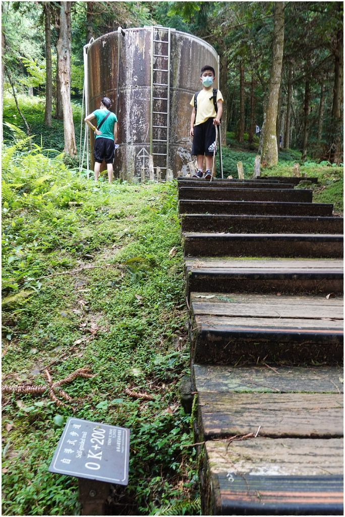 東眼山-11.JPG