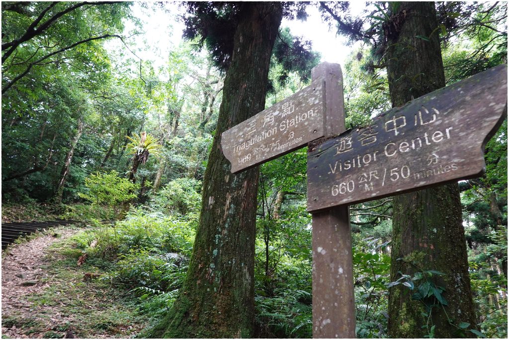 東眼山-31.JPG