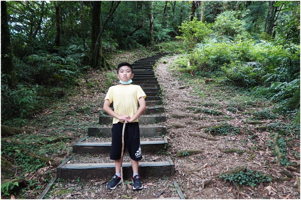 東眼山-32.JPG
