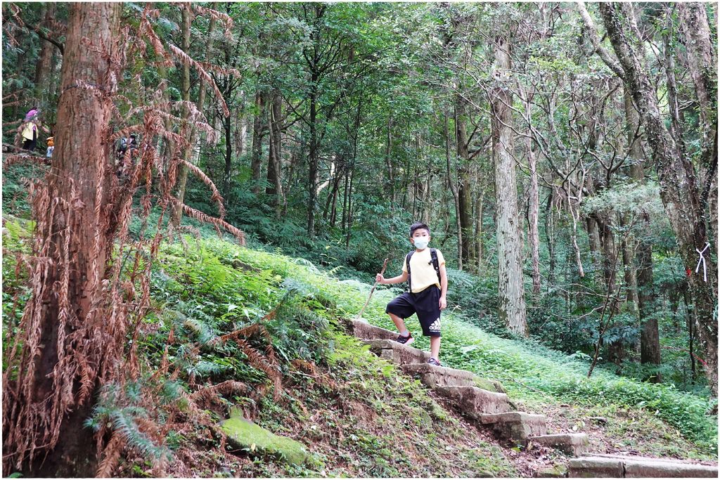 東眼山-12.JPG