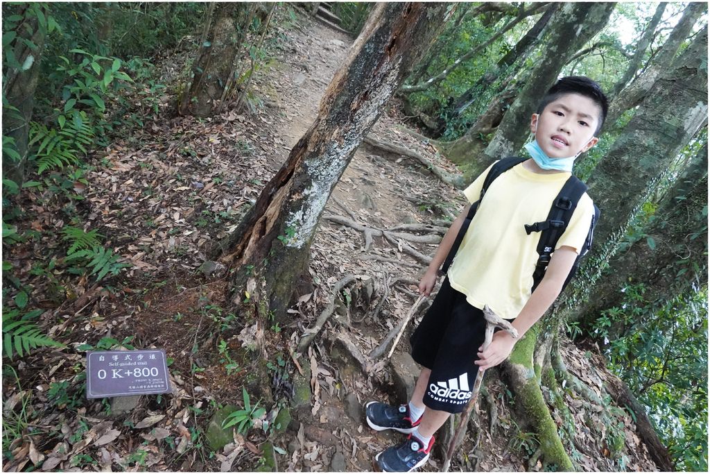 東眼山-33.JPG
