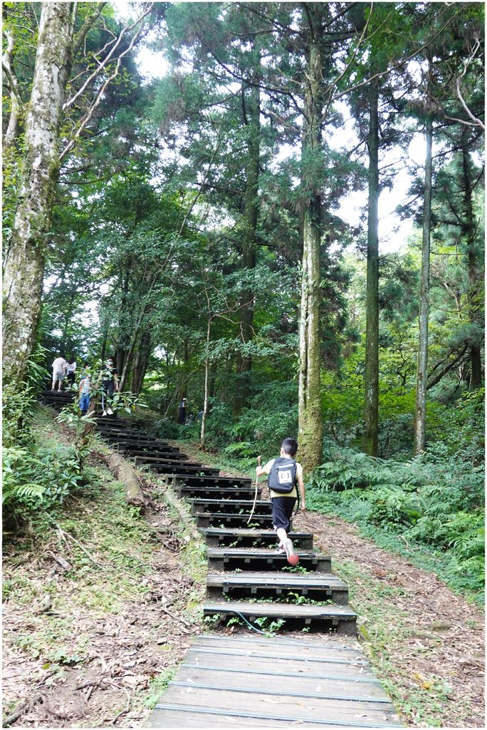 東眼山-15.JPG