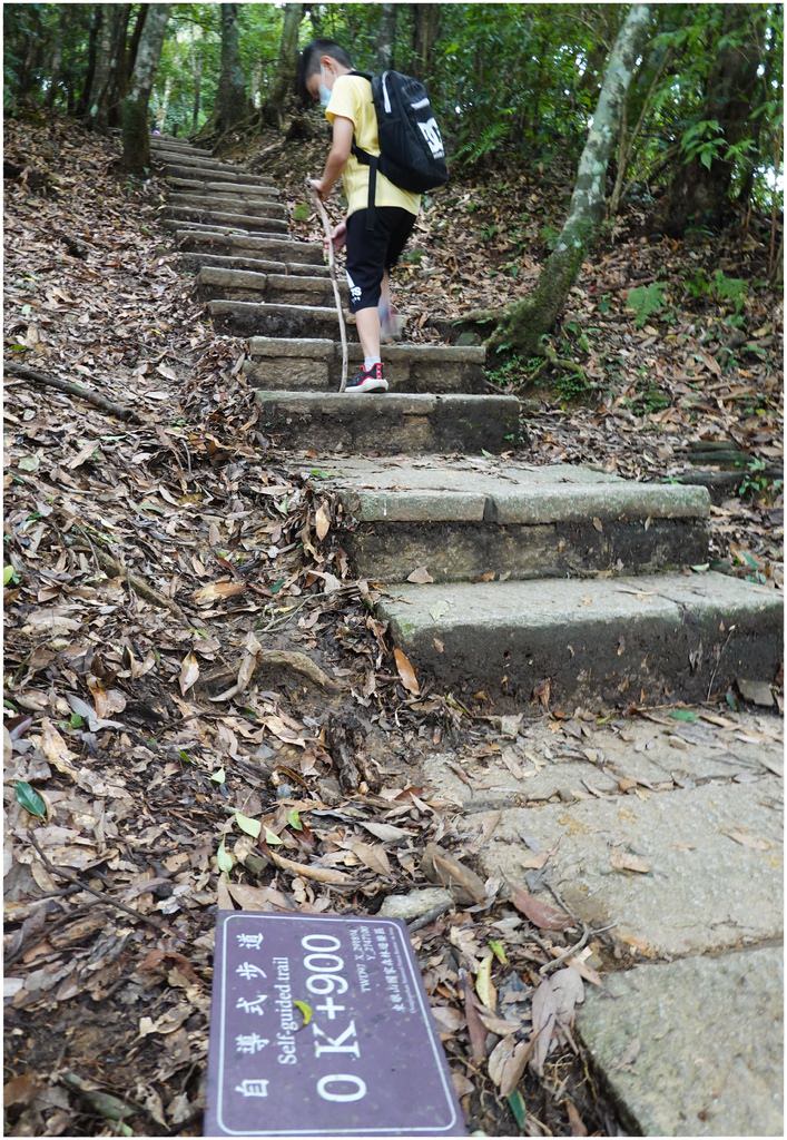 東眼山-38.JPG