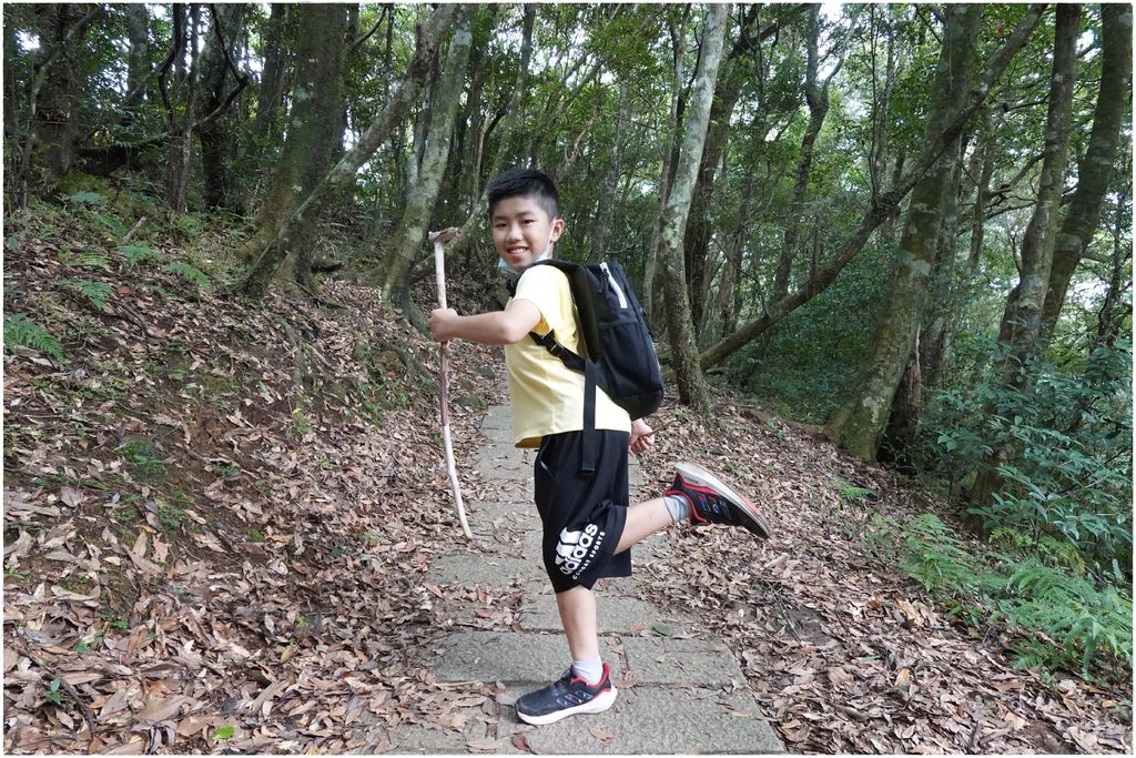 東眼山-52.JPG