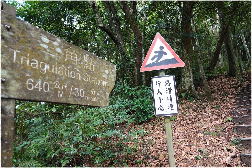 東眼山-40.JPG
