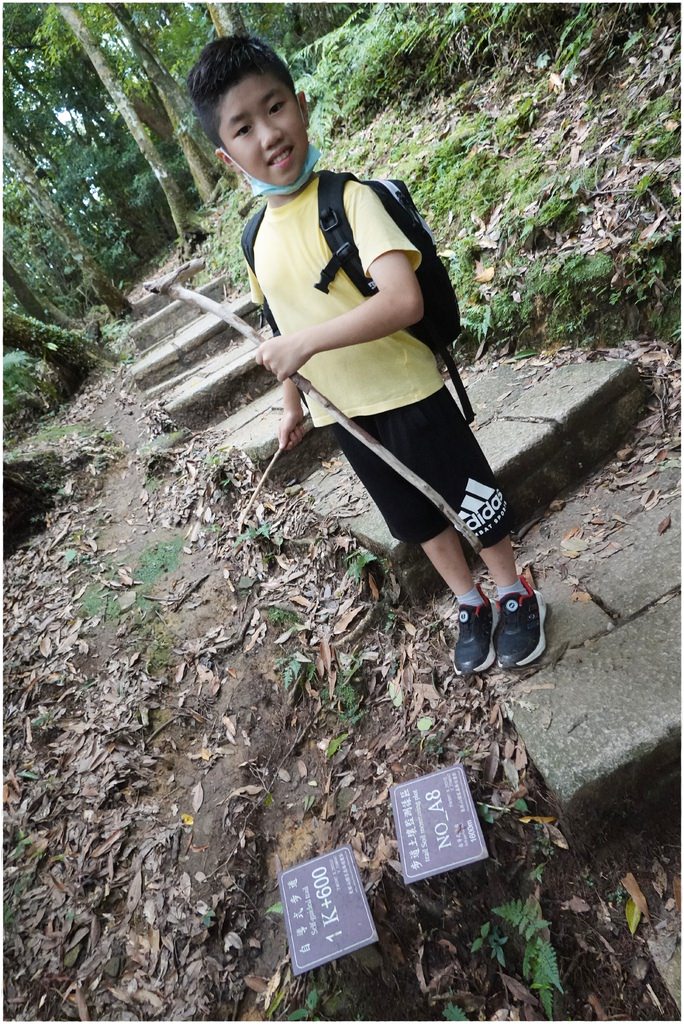 東眼山-58.JPG