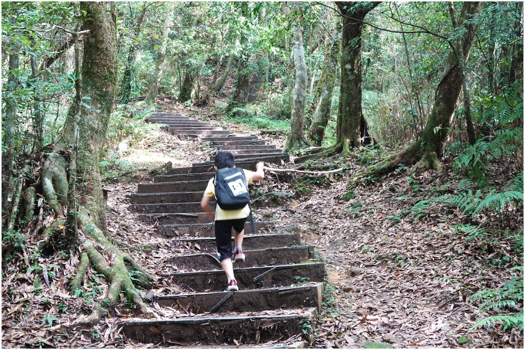 東眼山-47.JPG