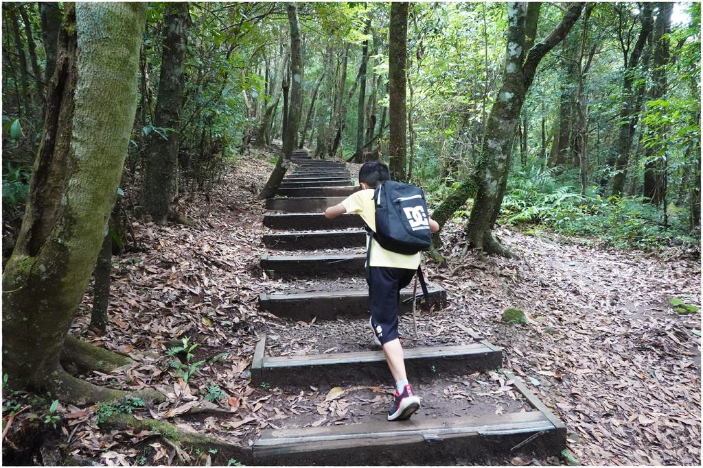 東眼山-46.JPG