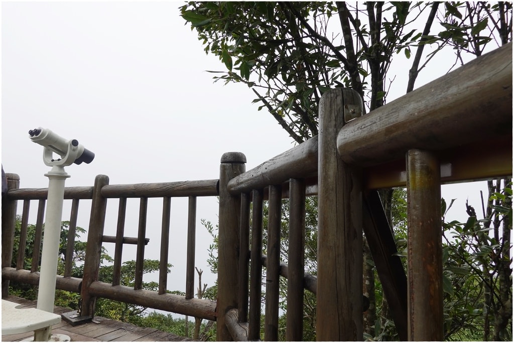 東眼山-67.JPG