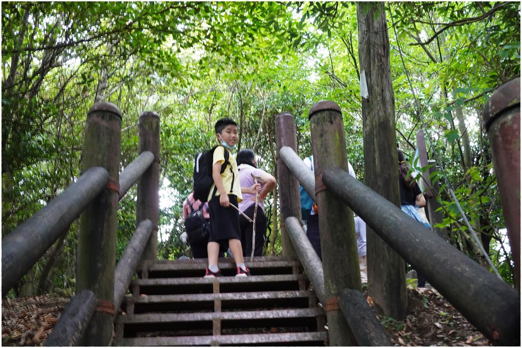東眼山-61.JPG