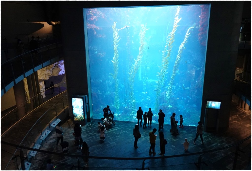 海-10.JPG