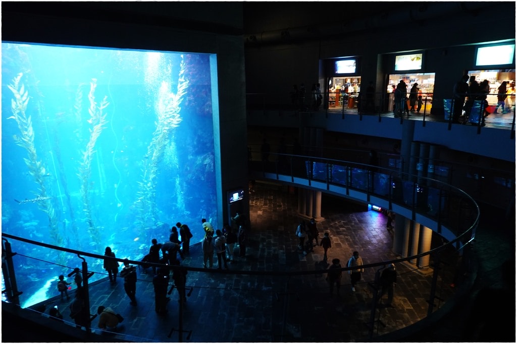 海-29.JPG