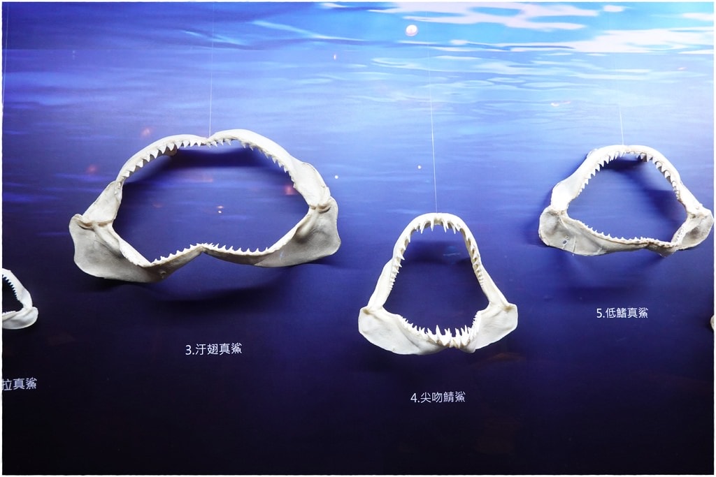 海-22.JPG
