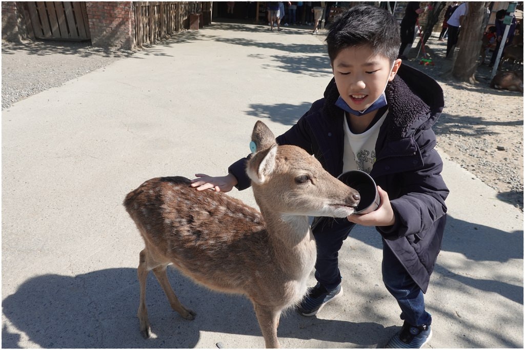 鹿-33.JPG