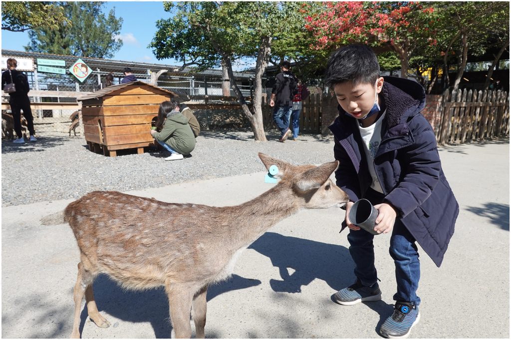 鹿-37.JPG