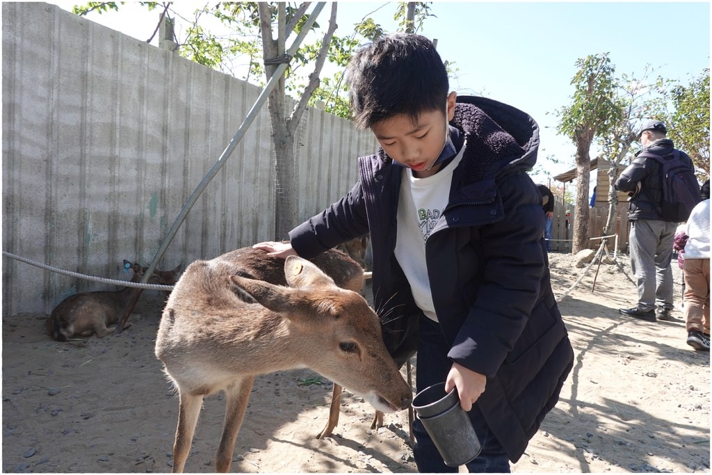 鹿-53.JPG