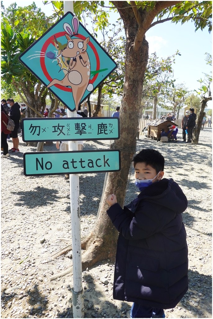 鹿-60.JPG