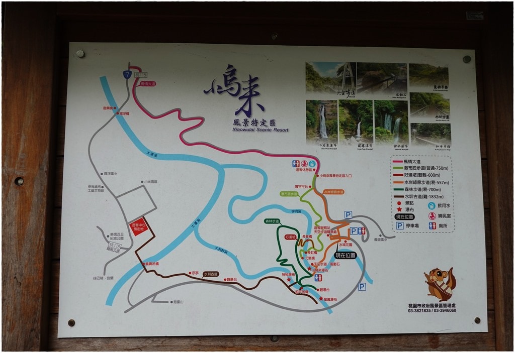 小烏-3.JPG