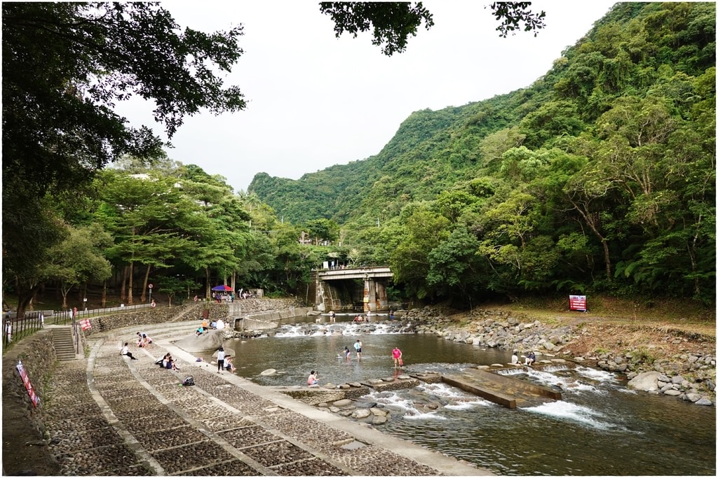 小烏-7.JPG