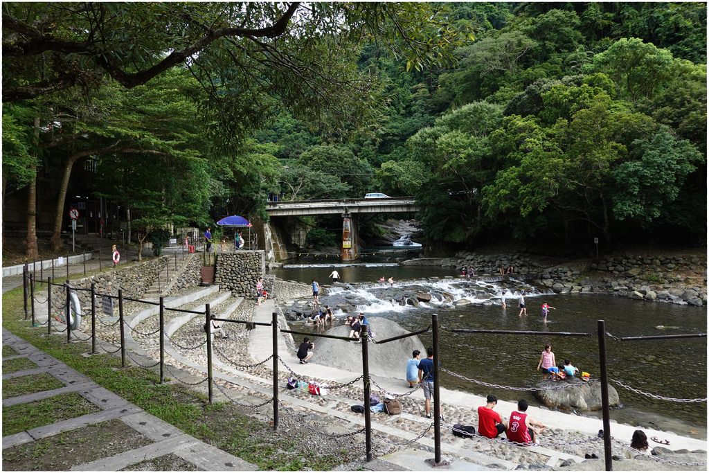 小烏-14.JPG