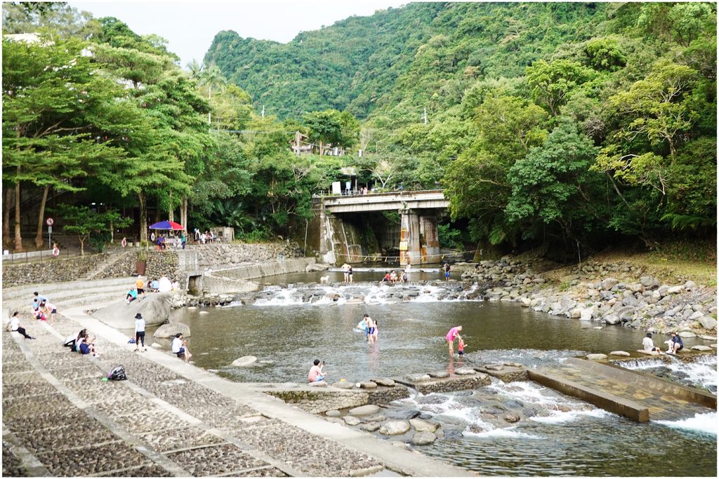 小烏-8.JPG