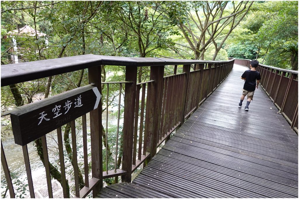 小烏-17.JPG