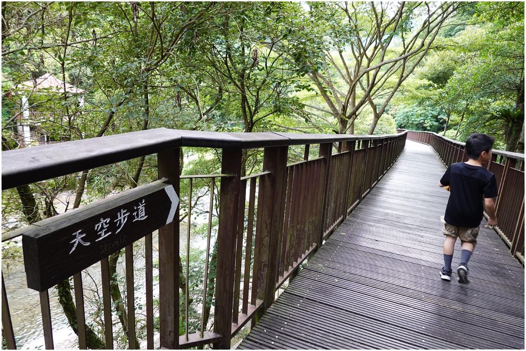 小烏-16.JPG