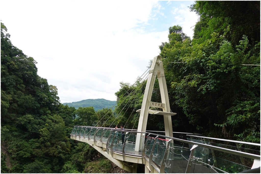 小烏-20.JPG