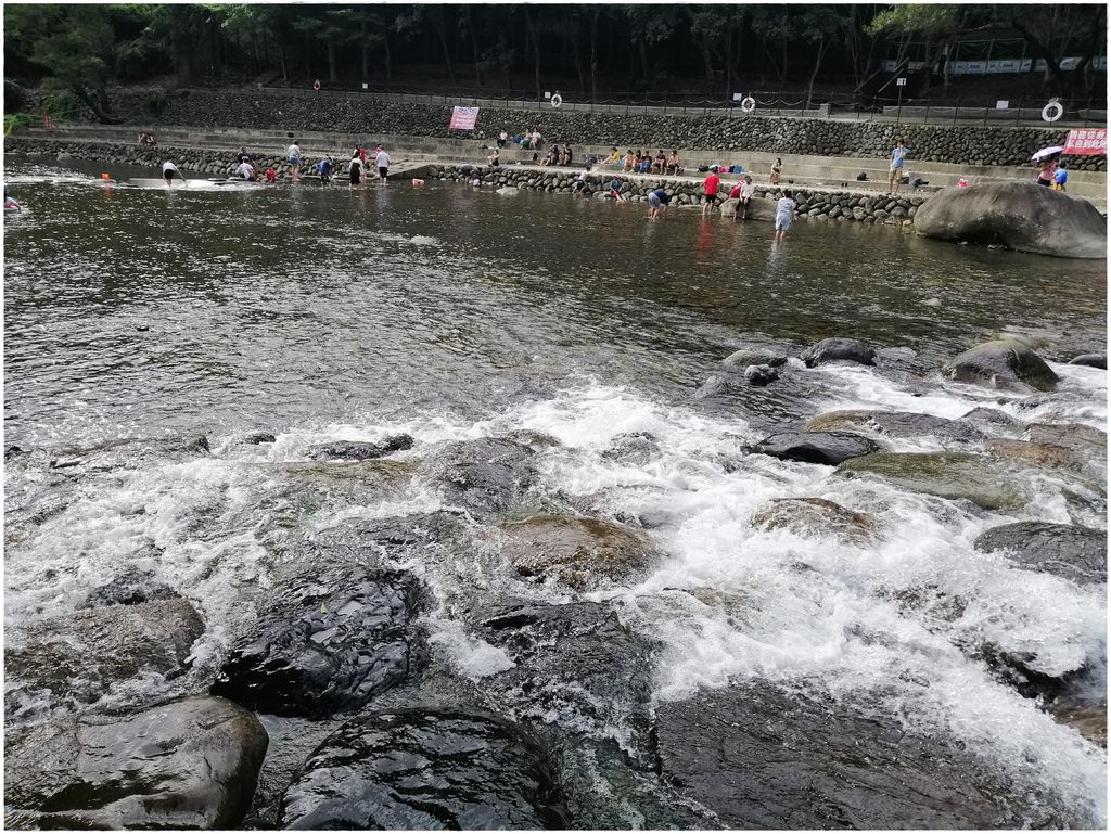 小烏-40.jpg