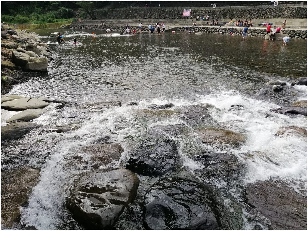 小烏-39.jpg