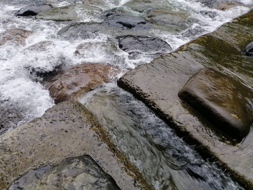 小烏-49.jpg