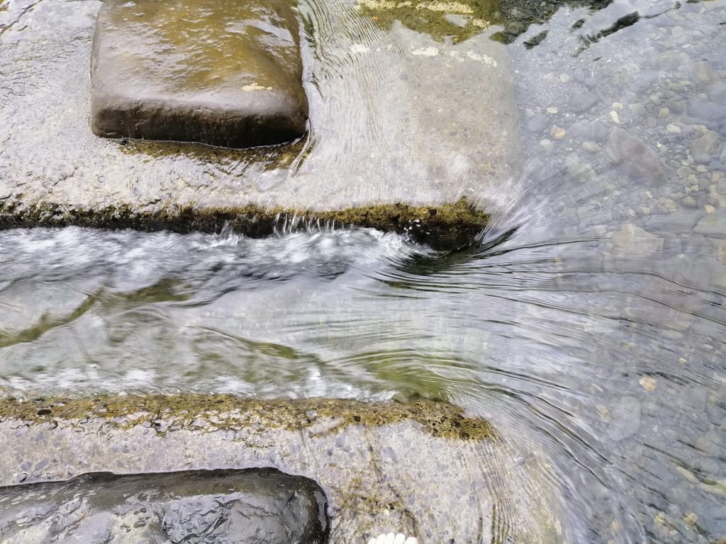 小烏-50.jpg